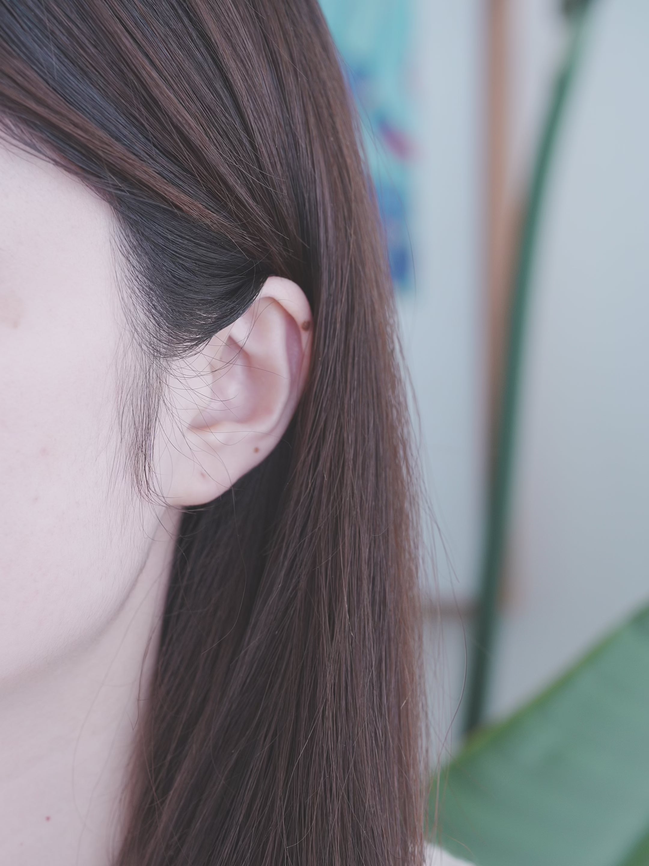 Oval Butterscotch Amber Stud Earrings